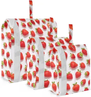 Strawberries Packing Cubes for Travel 3 Set Travel Packing Organizers Suitcase Organizer for Luggage